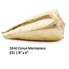 Conus Marmoreus - inkANDopium