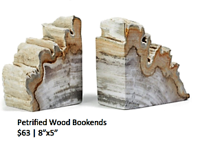 Petrified Wood Bookends - inkANDopium