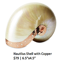Nautilus Shell with Copper - inkANDopium